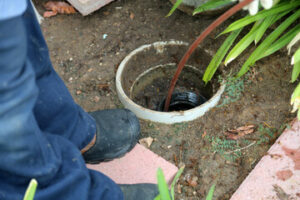 Sewer Line Repair